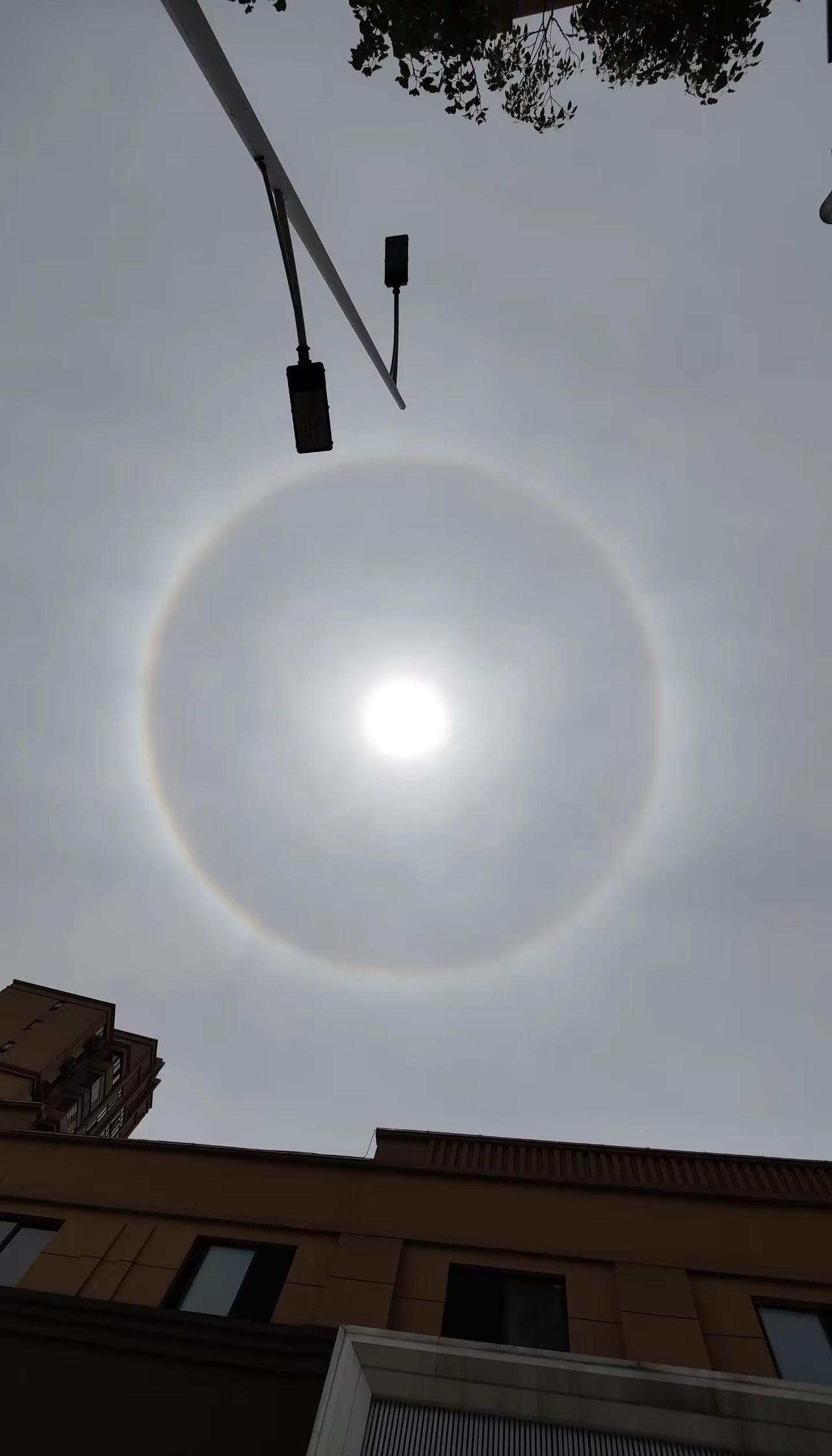 喜庆呀[鼓掌][鼓掌]柴桑区出现了日晕