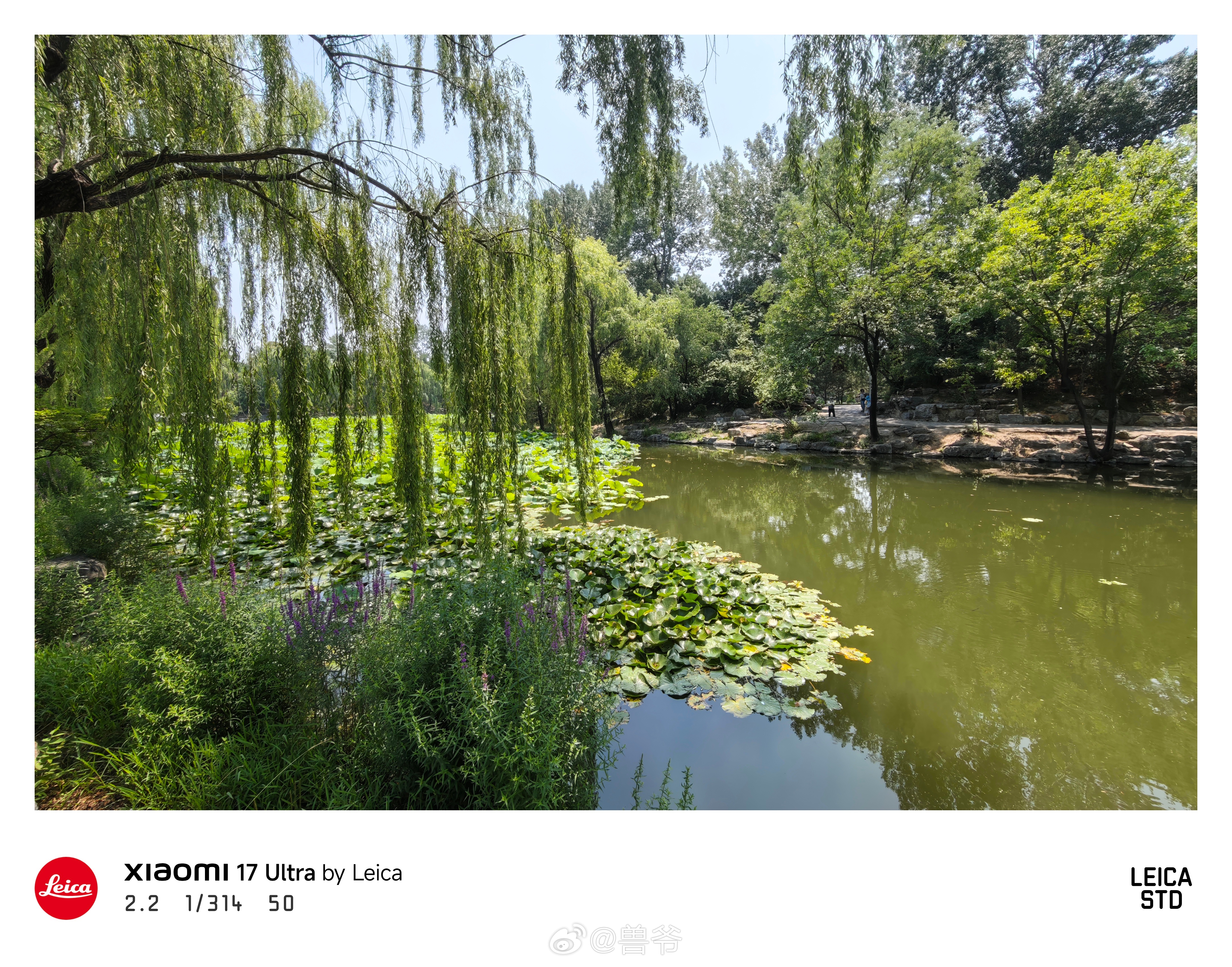 赶上清华研究生毕业季，食堂偶遇老师 