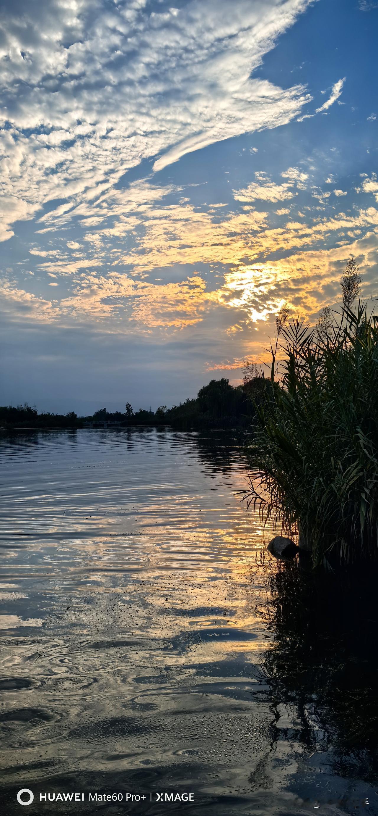 分享一张随手拍的花。作者加速成长计划美波湖的夕阳，漫漫秋雨的日子里，难得有这样的