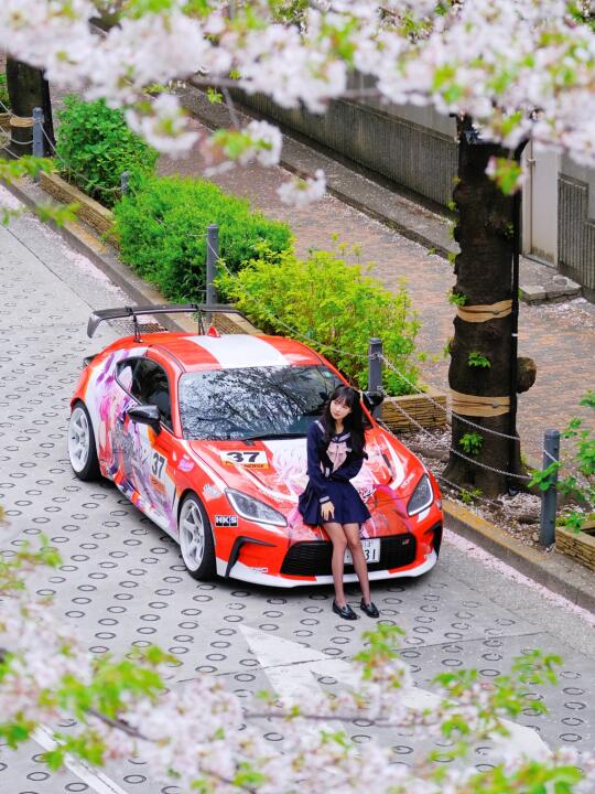 🇯🇵谁能帮我把车做成车模？