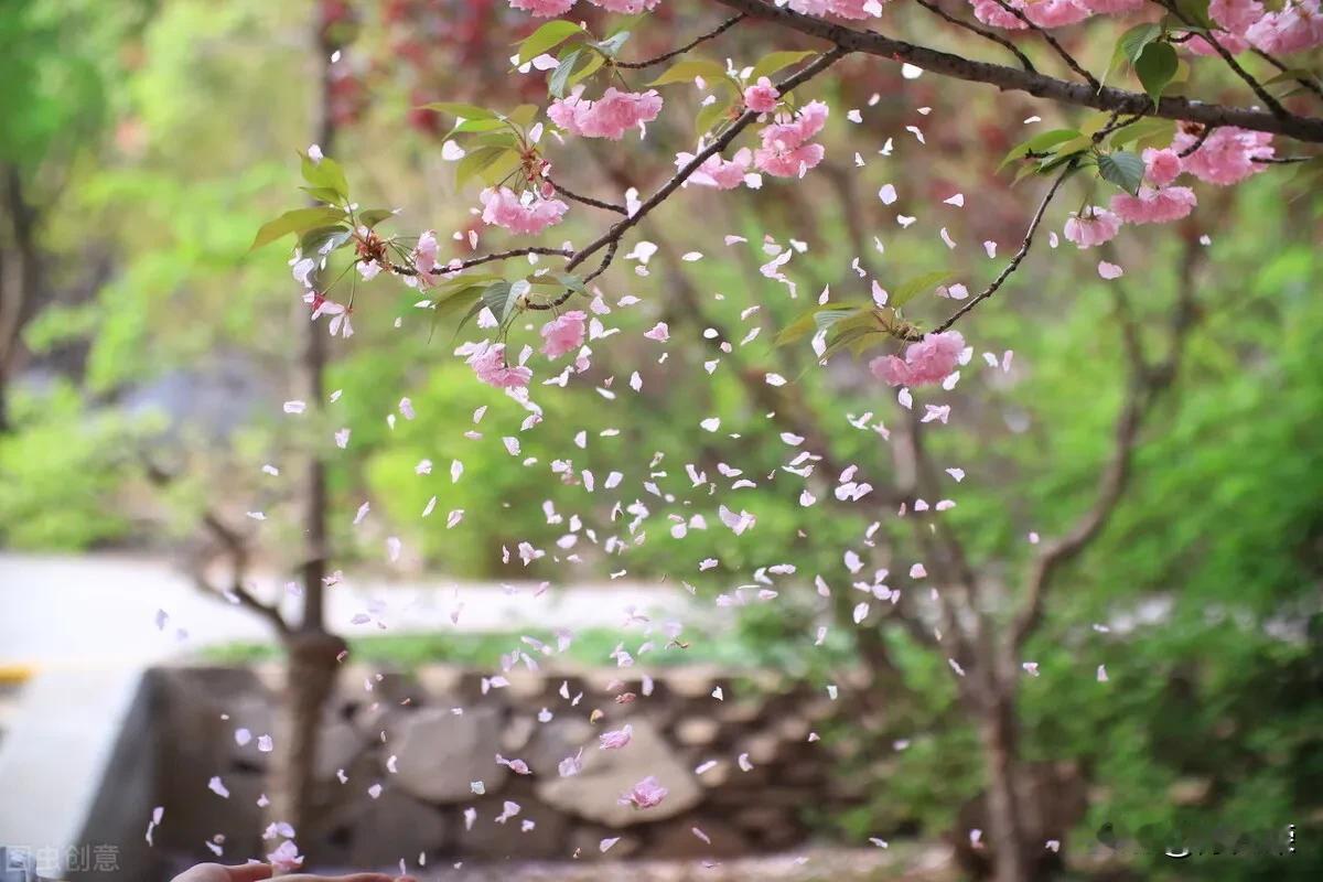 雾散山峰秀
风起花瓣飞
水滴石块穿[捂脸]
刀起人头落[呲牙]