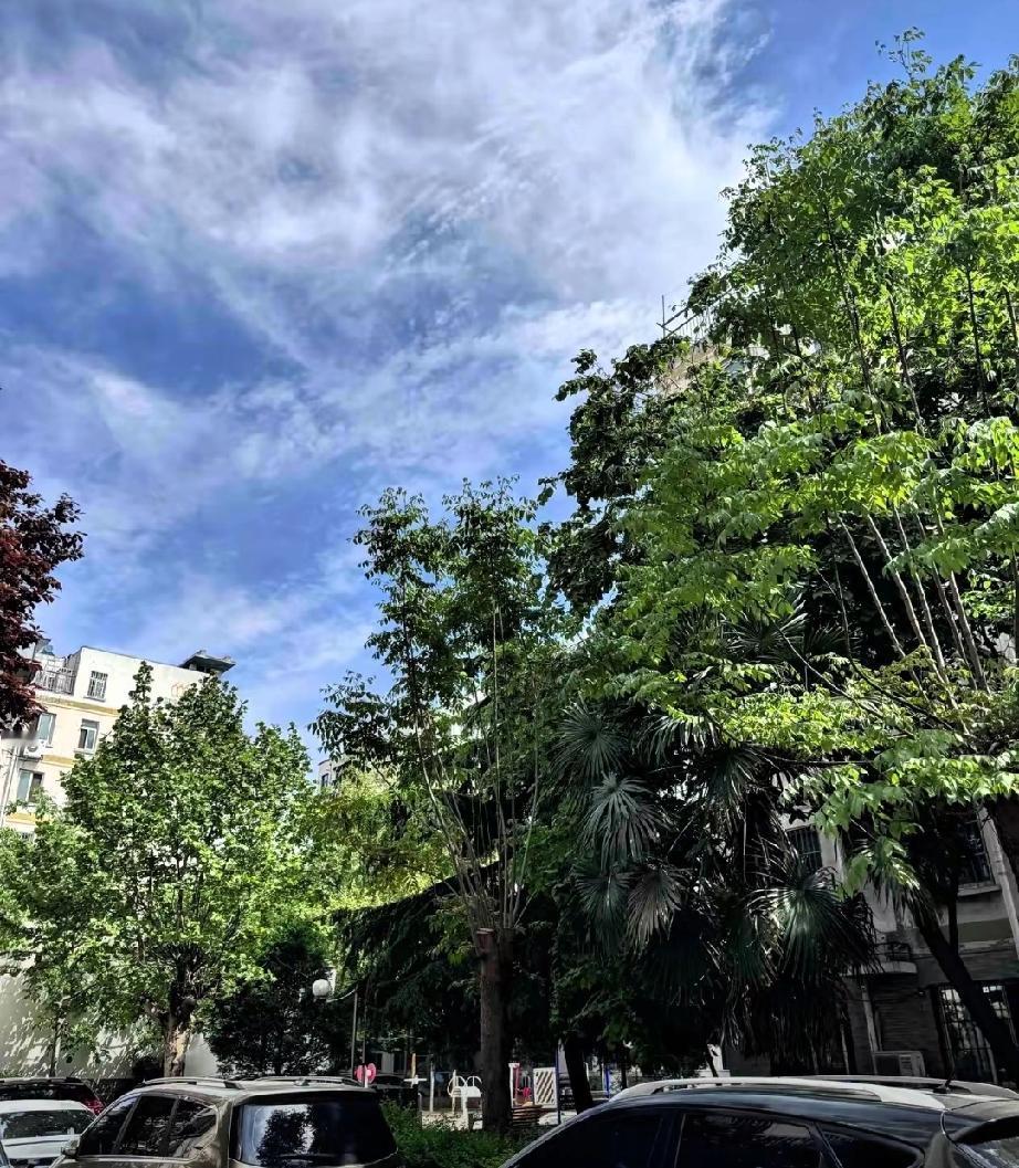 人都是有定数的
我同事家里资产千万，但是之前算命先生告诉她是身弱不担财那种，她并