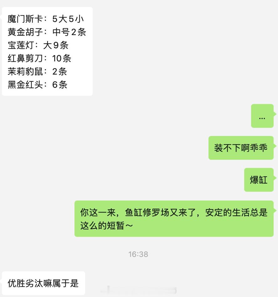 朋友说想送几条鱼给我们这不止几条了吧。。我这60cm的缸怕它们转不了身