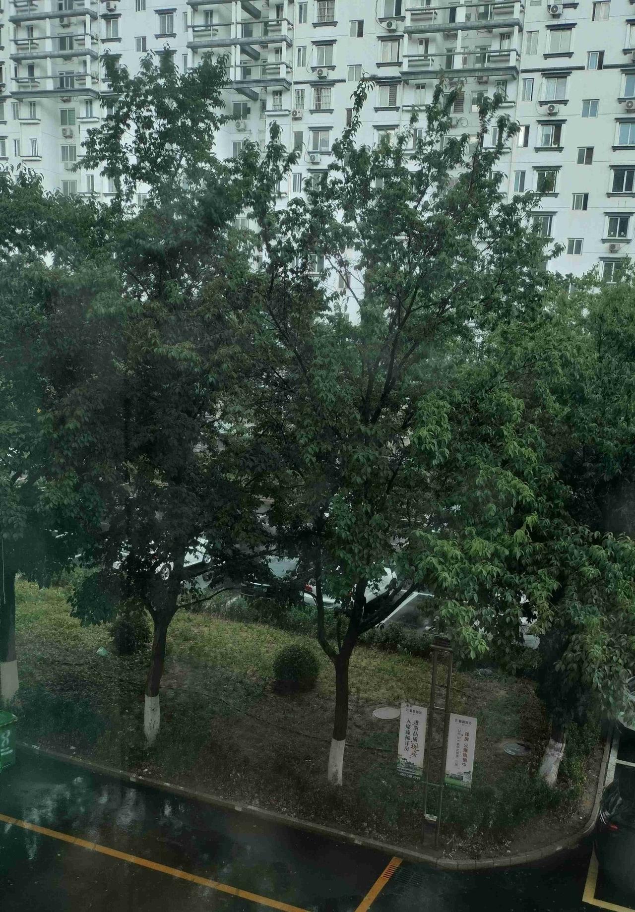 我的今日状态：💰期待暴富
我这里的天气：🌧下雨