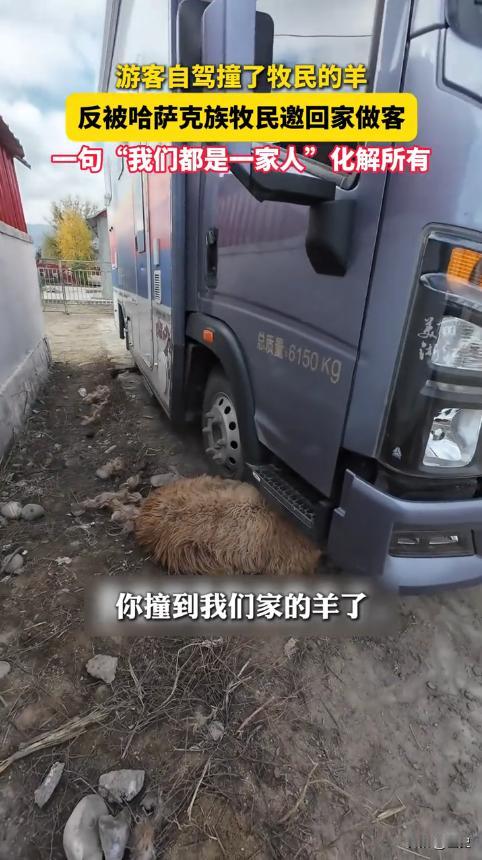 “被暖到了！”据媒体10月23日的报道，新疆阿勒泰，一女子自驾游时，不小心撞到了