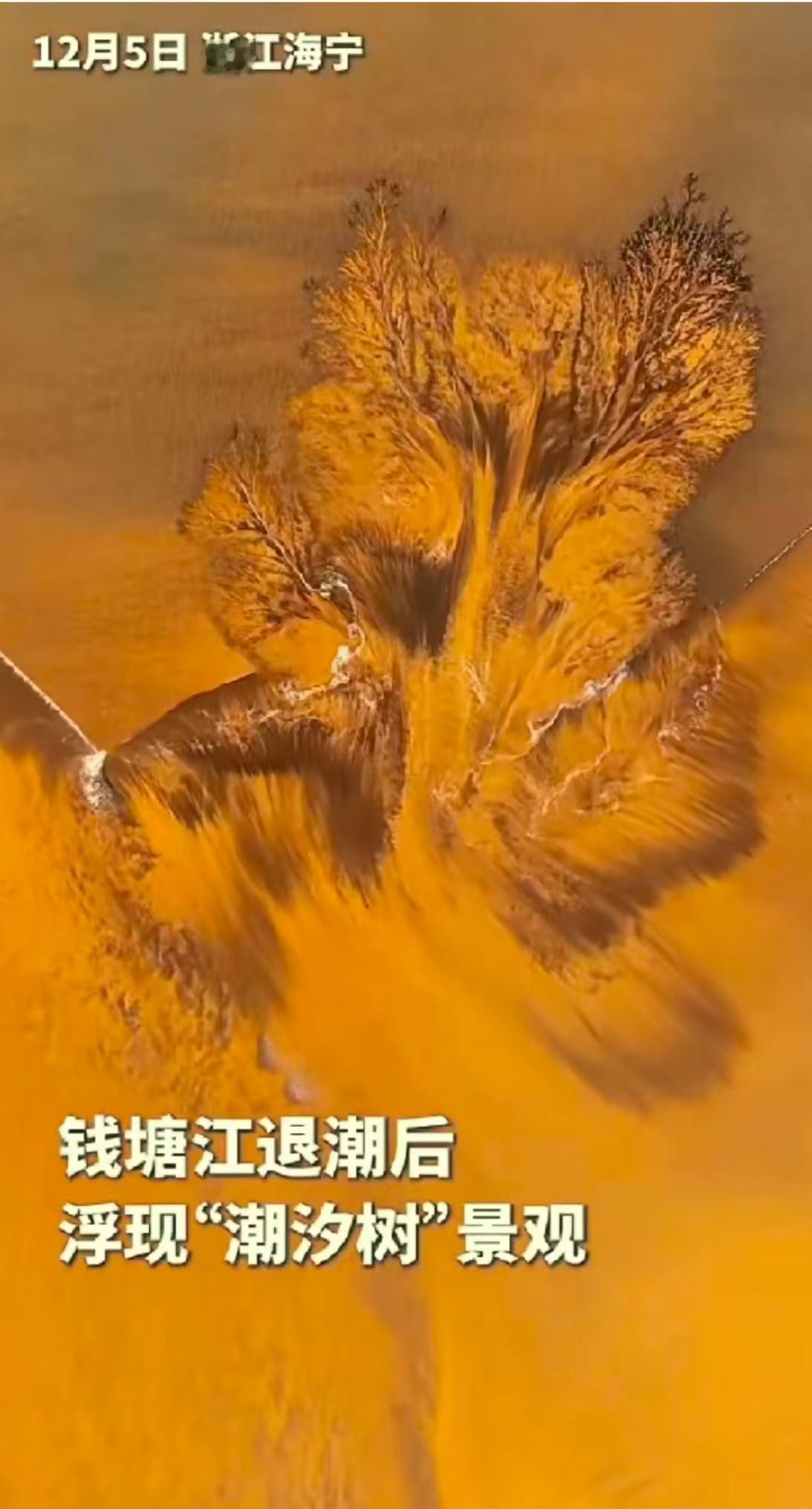 “解释不清了！”浙江，一男子用无人机拍钱塘江退潮，没想到无人机刚起飞，就拍到了罕