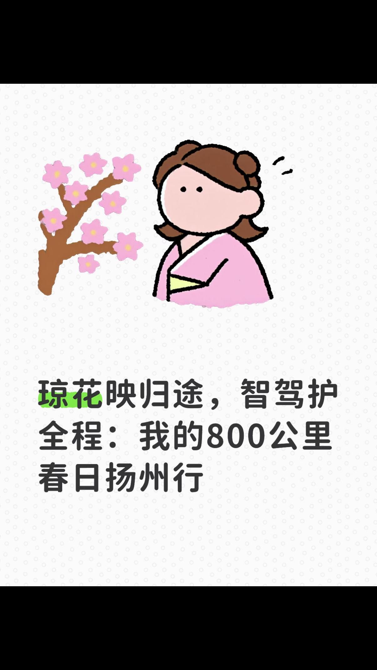 琼花映归途，智驾护全程：我的800公里春日扬州行

四月中旬的风裹着江南温润的气