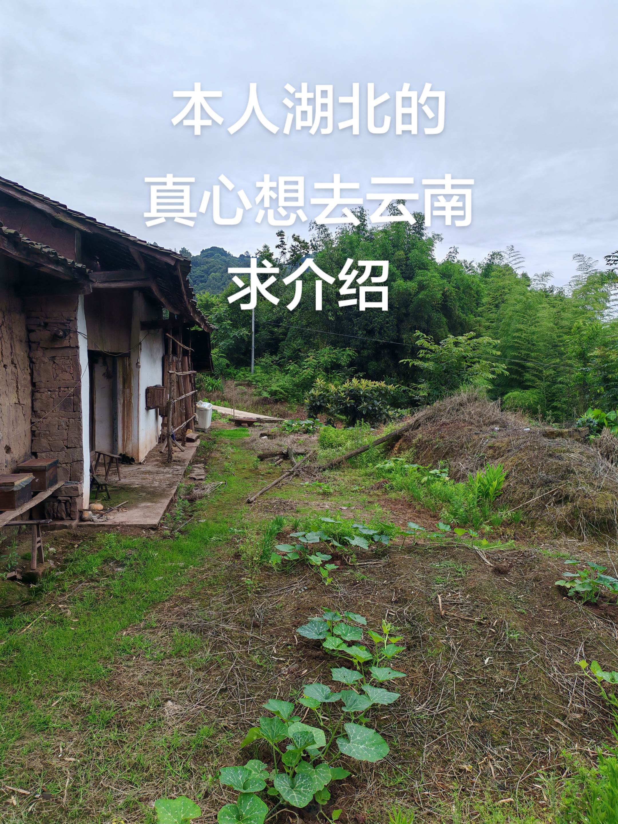 本人湖北襄阳的，真心想嫁去云南，求介绍