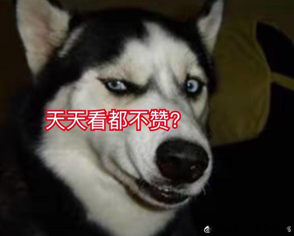 新年祝福就是妖股秘密？要“统一”先“孚日”“合富中国”，“华夏幸福”“人民同泰”