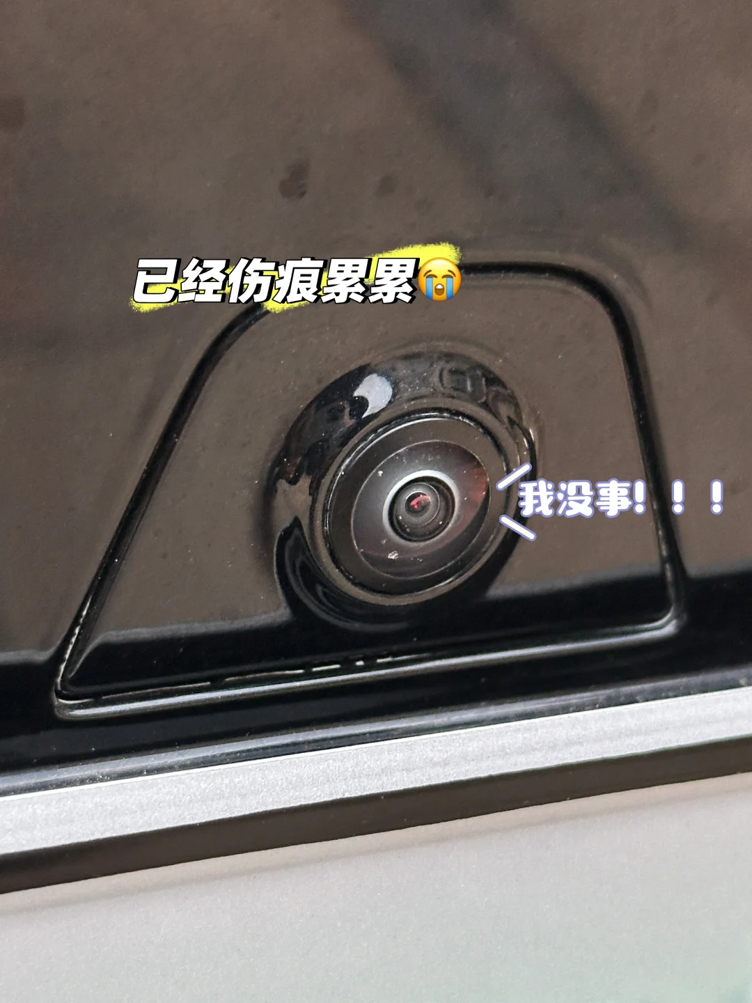 我给小P贴了个保护罩