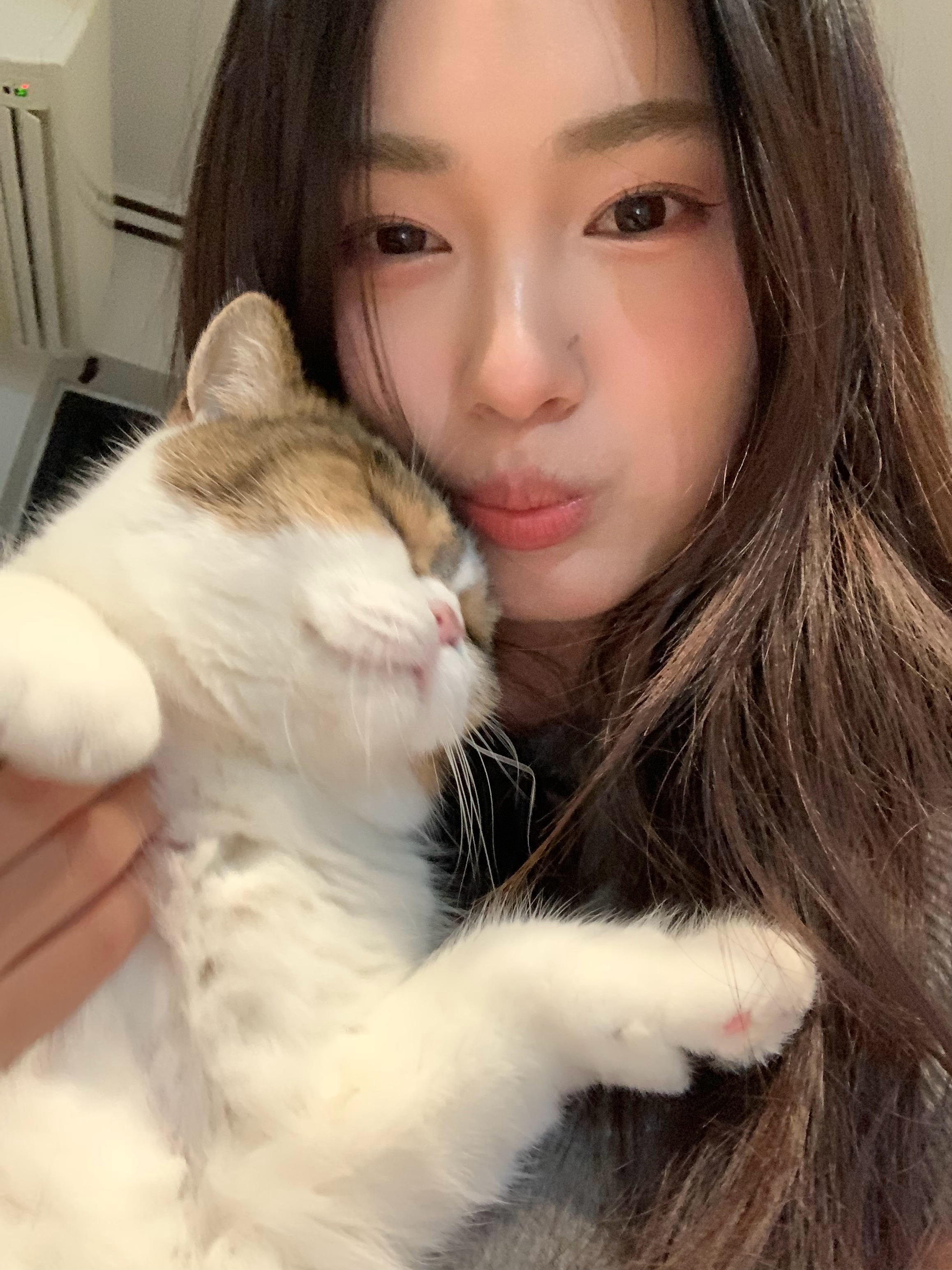 哈特软软平逸近人