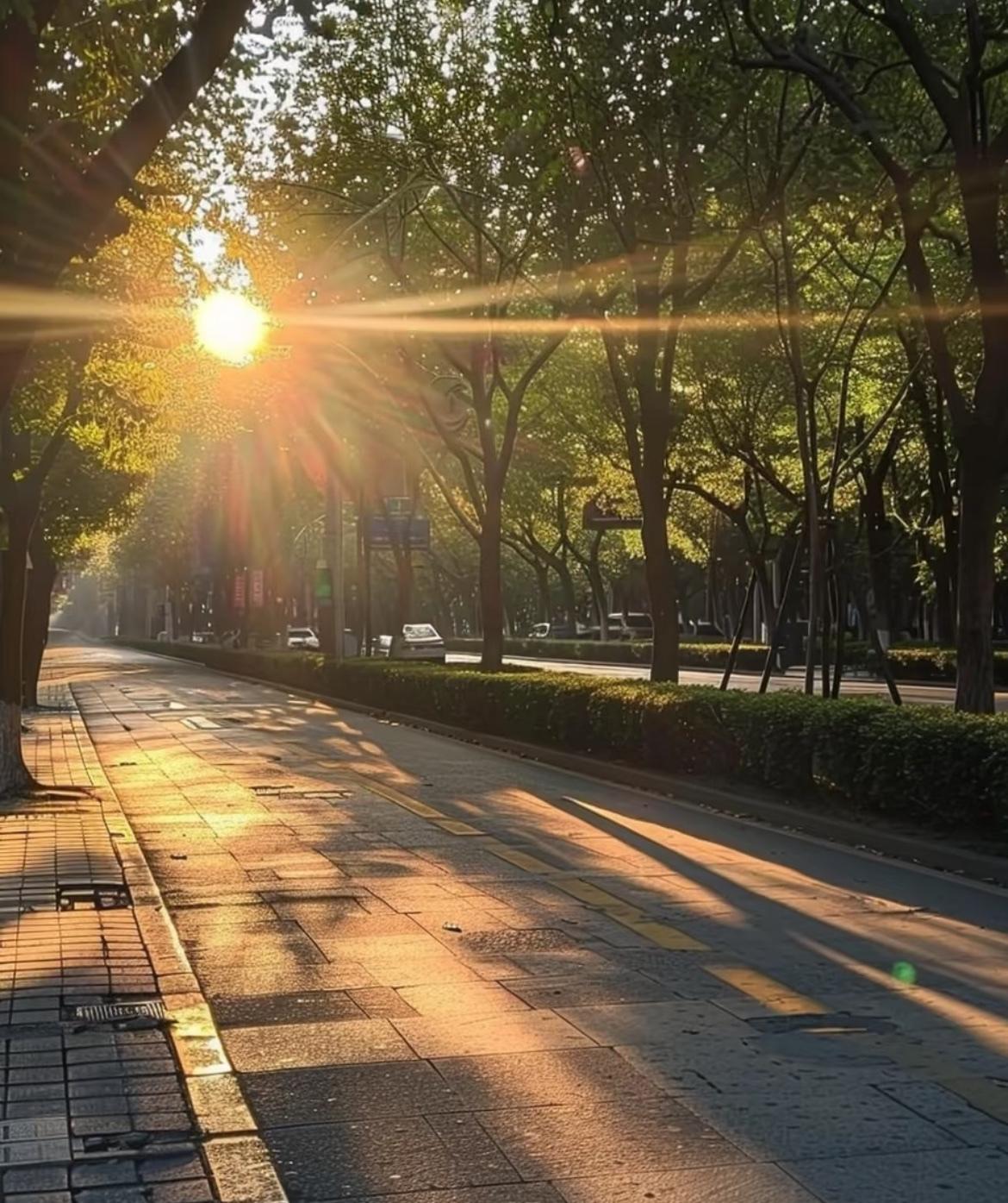 很现实的一段话
你没本事，
任何人都不是你的靠山
你有本事，
任何人都想找你当靠