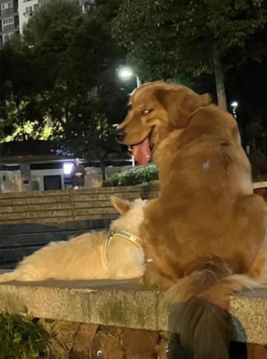 假如打好朋友一巴掌，就给你200万你打吗？ 