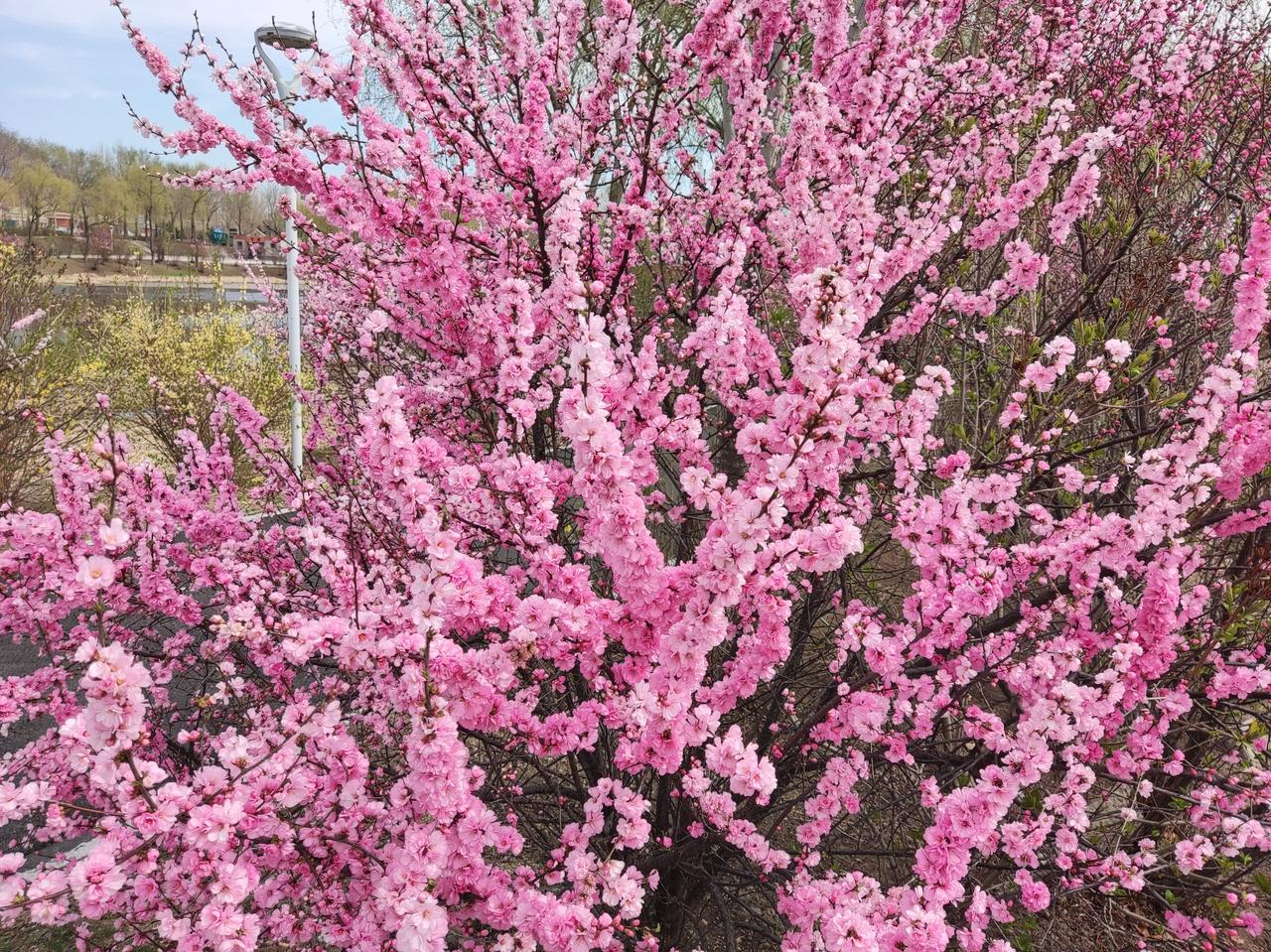 我去公司面试：老板说了这样的话
昨天在公交车上遇到了老王，他和老伴都大包小裹的购