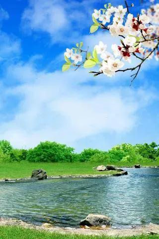 《春日念你》现代诗
 春天，像一本翻开的诗集
桃花是俏皮的诗行
在枝头争着把烂漫