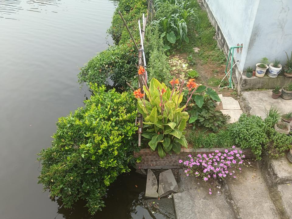 河边的小花园，种满了绿植和鲜花。