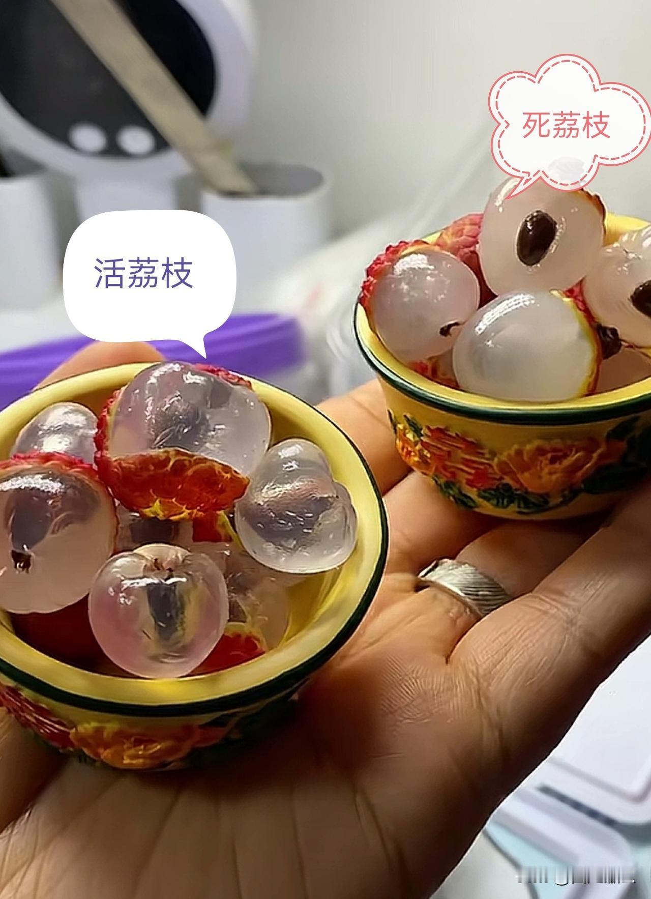 唐朝的杨贵妃，和你，应该都没吃过活荔枝！

第一次听说，荔枝还分为活荔枝和死荔枝