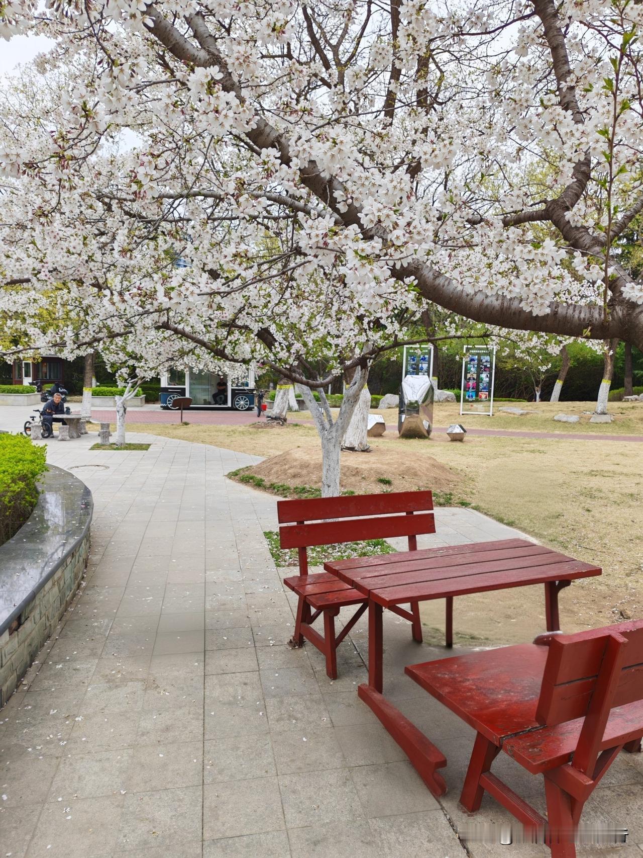 今天潍坊有丝丝缕缕的小风，温柔拂面，阳光暖融融的洒下。是晒太阳的好天气。

不到