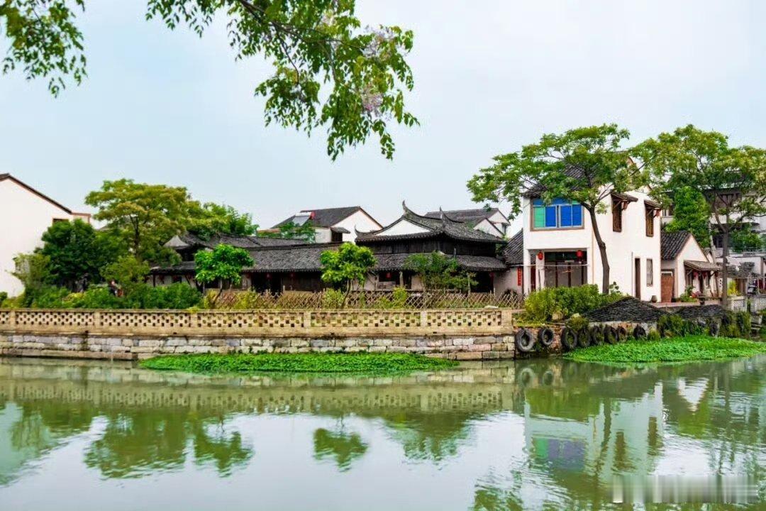 【不负春光实干实绩台州乡村处处是新景 】从粮食稳产到产业兴旺，从乡村蝶变到共富增