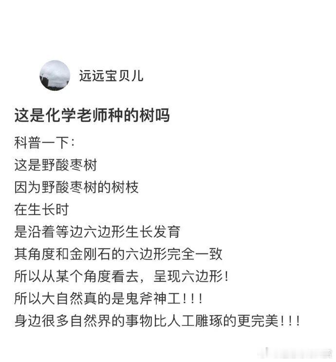 这是AI合成的？ 