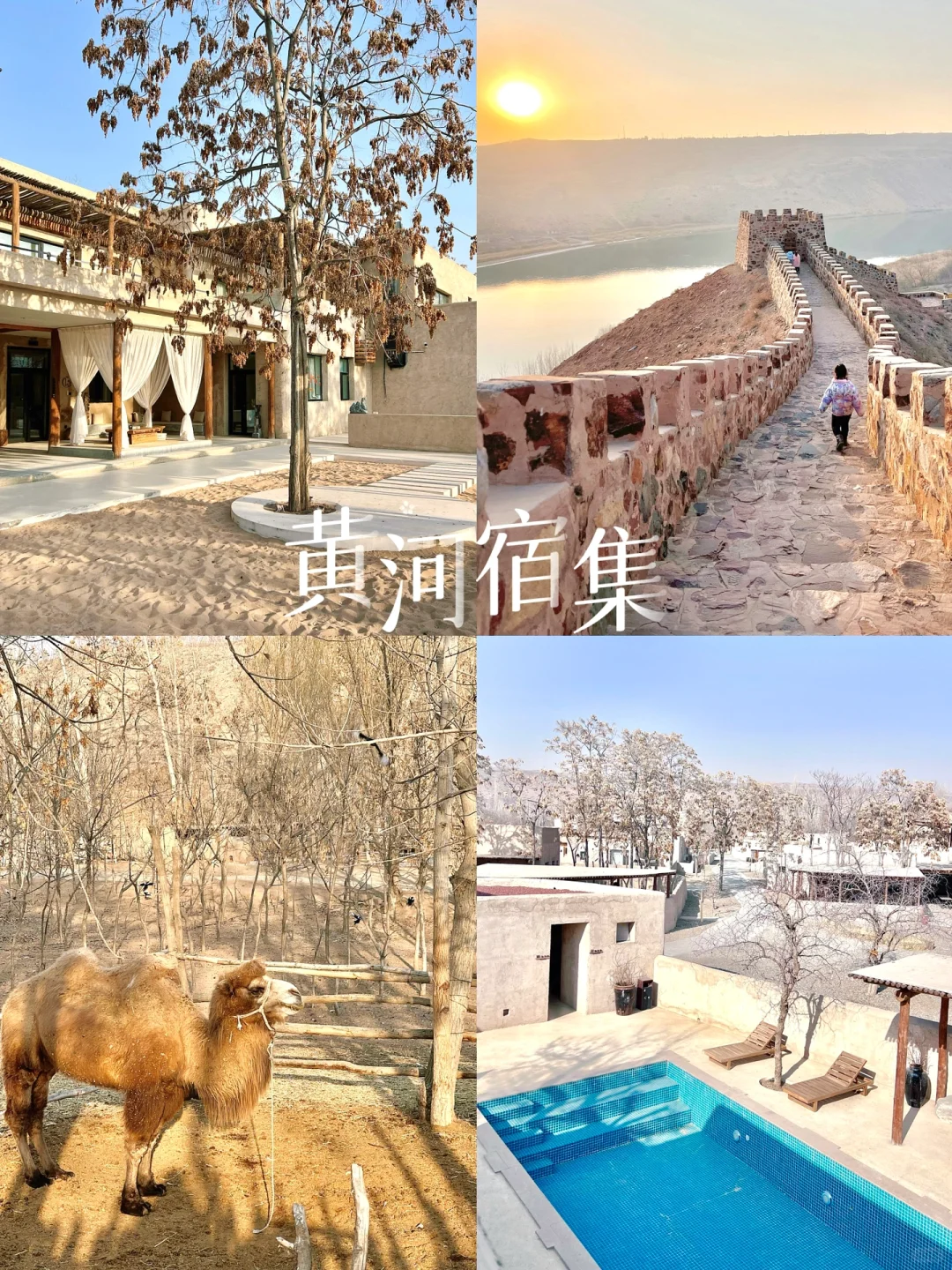 黄河宿集｜隐蔽在沙漠中的绿洲秘境