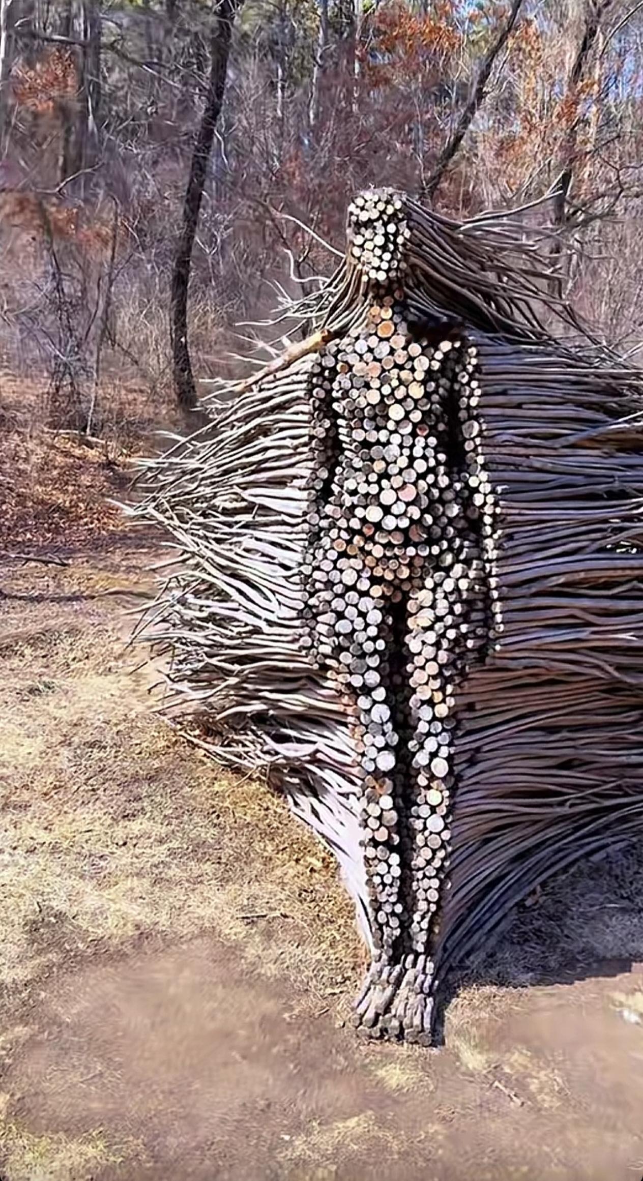 这垛垛的太有才了 ，是农民还是艺术家？