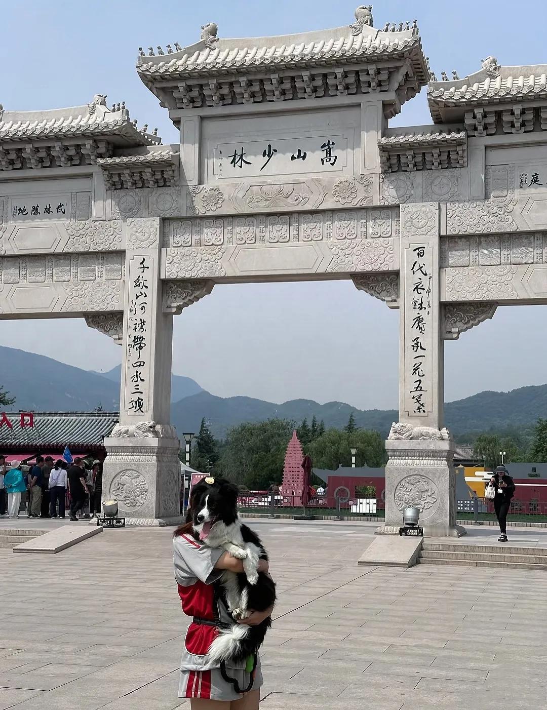释永信被查后，
昨天特意去少林寺玩了1天
回去后算了算，居然一共才花了
200块