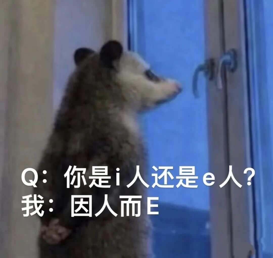等Codex思考的间隙，大家在做什么？
想问下大家等Codex跑代码、等agen