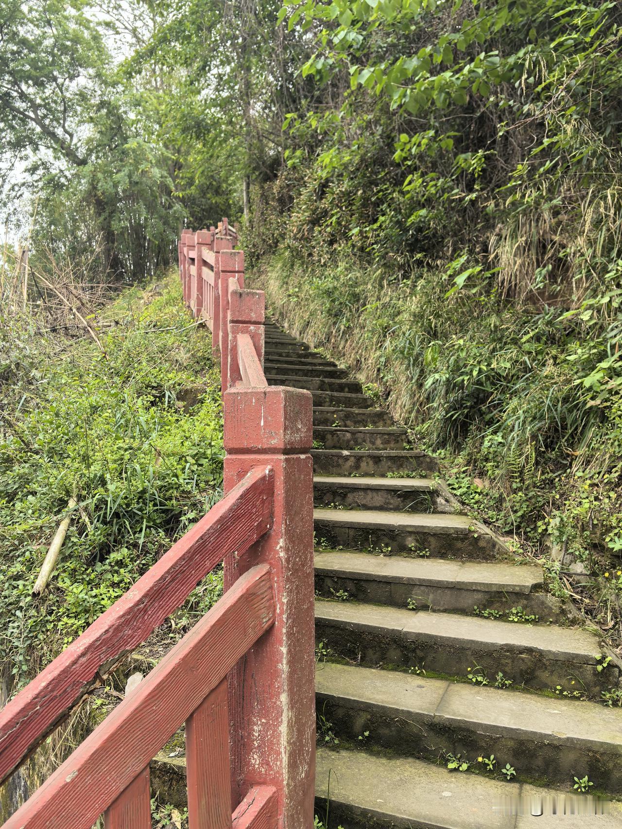 天气慢慢变热了，但早起的人们仍然忙着登山跑步跳舞，在大自然中去放飞自我，舒动筋骨