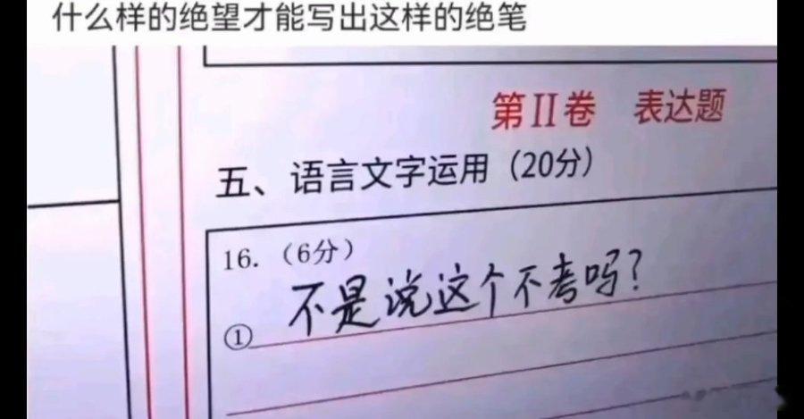 《不是说这个不考吗？》 