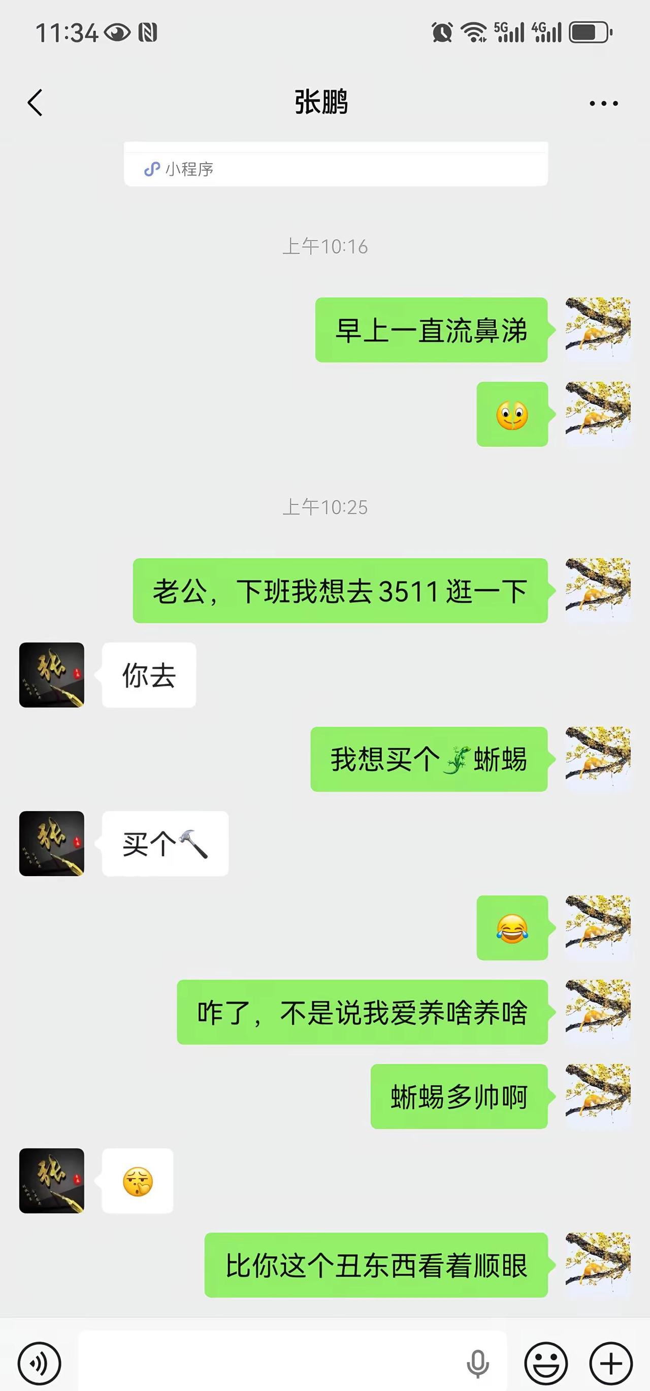 有人支持我养蜥蜴不？说来也奇怪哈，壁虎我就害怕，但是我不怕蜥蜴😂