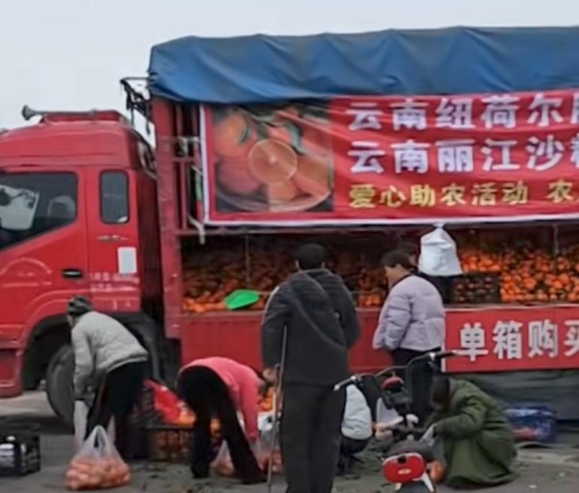 大货车司机改卖水果，这就是长期以来，货运市场不规范的后果！

现在好了，那些之前