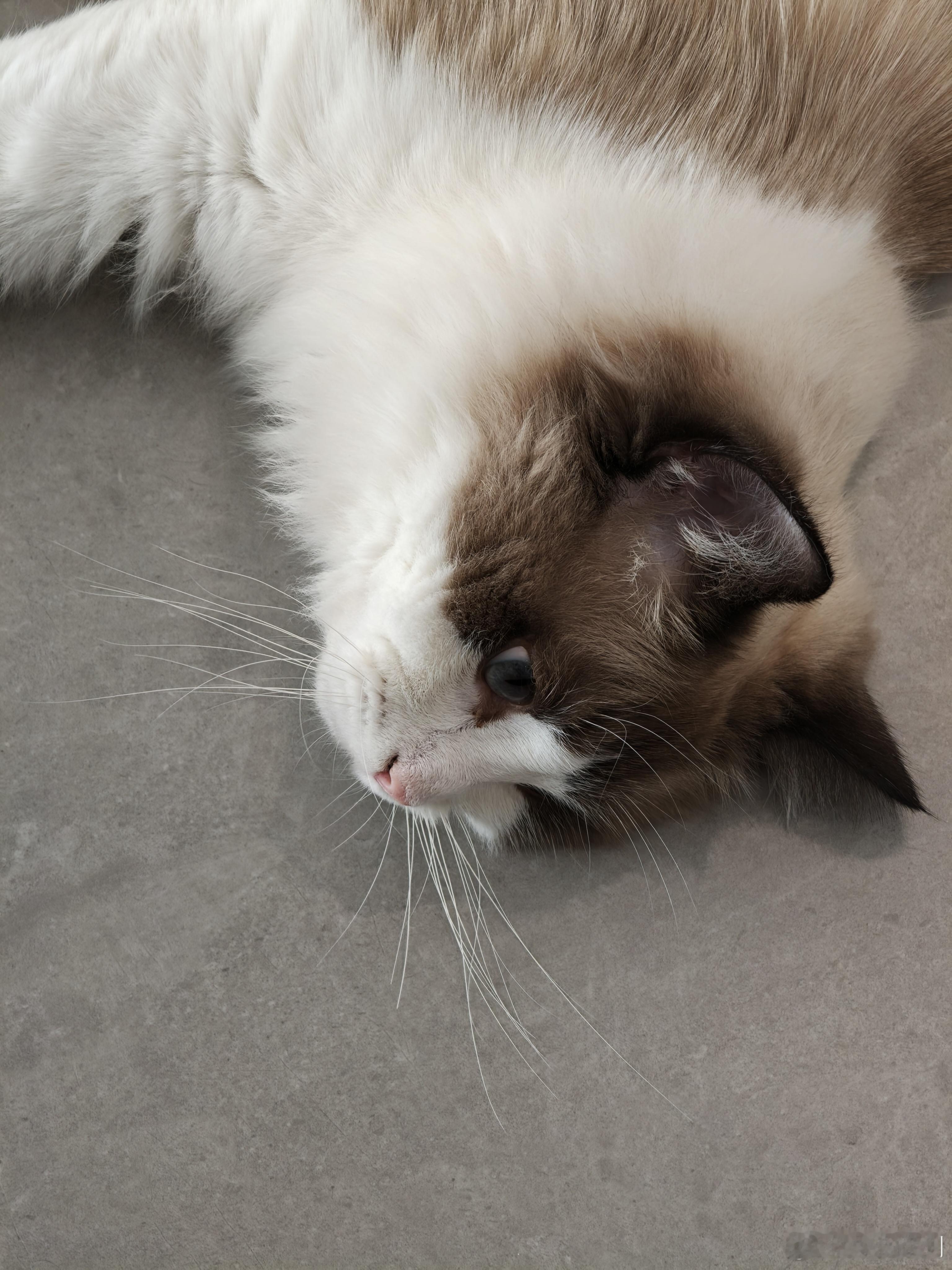 这痔疮术后感受，咋好一天，难受一天。。。 