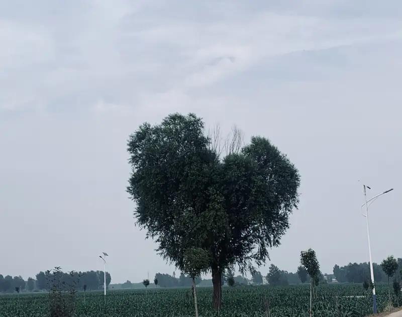 人活一辈子，什么是真正属于你的我觉得人活一辈子啊，钱和名利都是暂时的，走时带不走