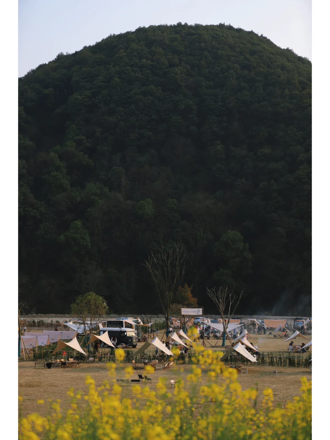 杭州小众露营地🏕️旁边有大片油菜花田
