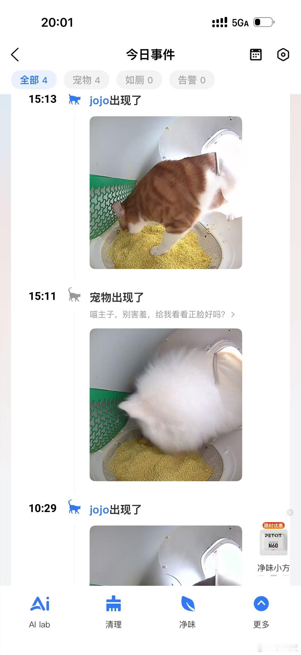 新鲜的脆脆鲨就是好吃哈最近还给他们换了减脂狗粮怪不得越减越肥啊一斤没掉 合着都吃