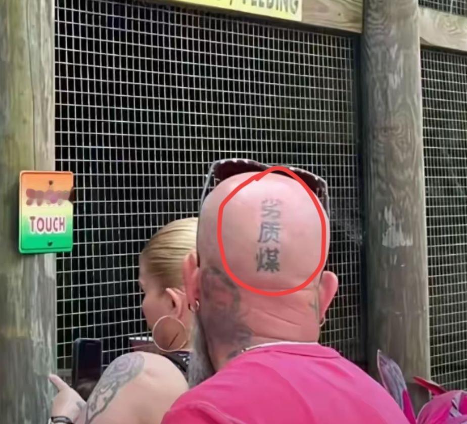 在老外的眼里中文充满了艺术感，每一个字都具有独特的形态，至于内容已经不重要了。