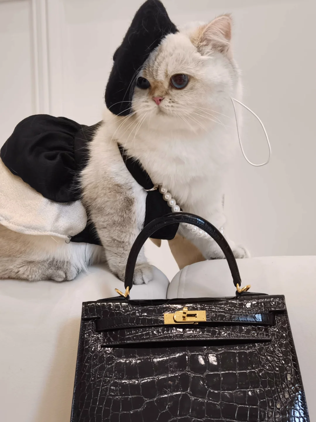 当你的配饰比你还会摆拍…