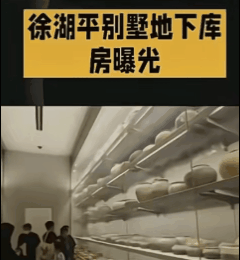 2026年1月，江苏省调查组在对前南京博物院院长‌徐湖平‌的别墅进行搜查，于其地