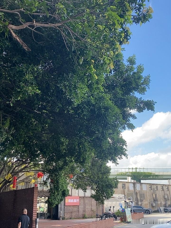 周润发的哪一部电影让你印象最深周润发的哪部电影让你印象最深刻龙争虎斗？
周润发写