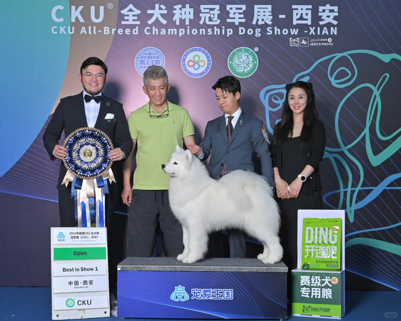 溢出屏幕的开心🥳 来自于摩王家族繁殖的小富贵，一岁半萨摩耶母犬“春天...