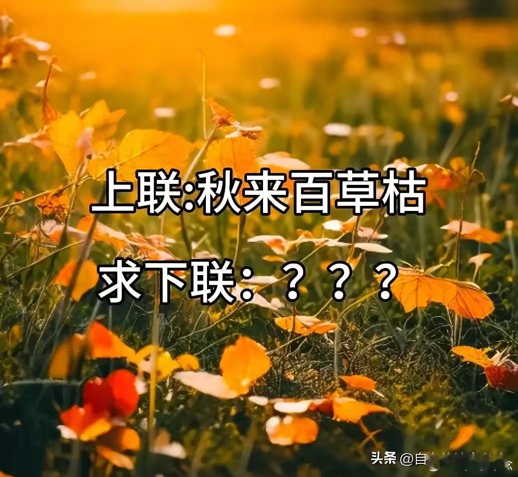 上联：秋来百草枯求大神出下联：？ ​​​