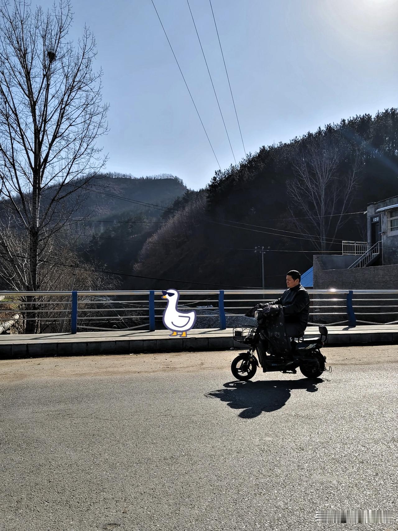 今天骑小电驴去北山办事，刚上桥就被这太阳晃得眯眼。山边的树一半秃一半带点棕黄，看