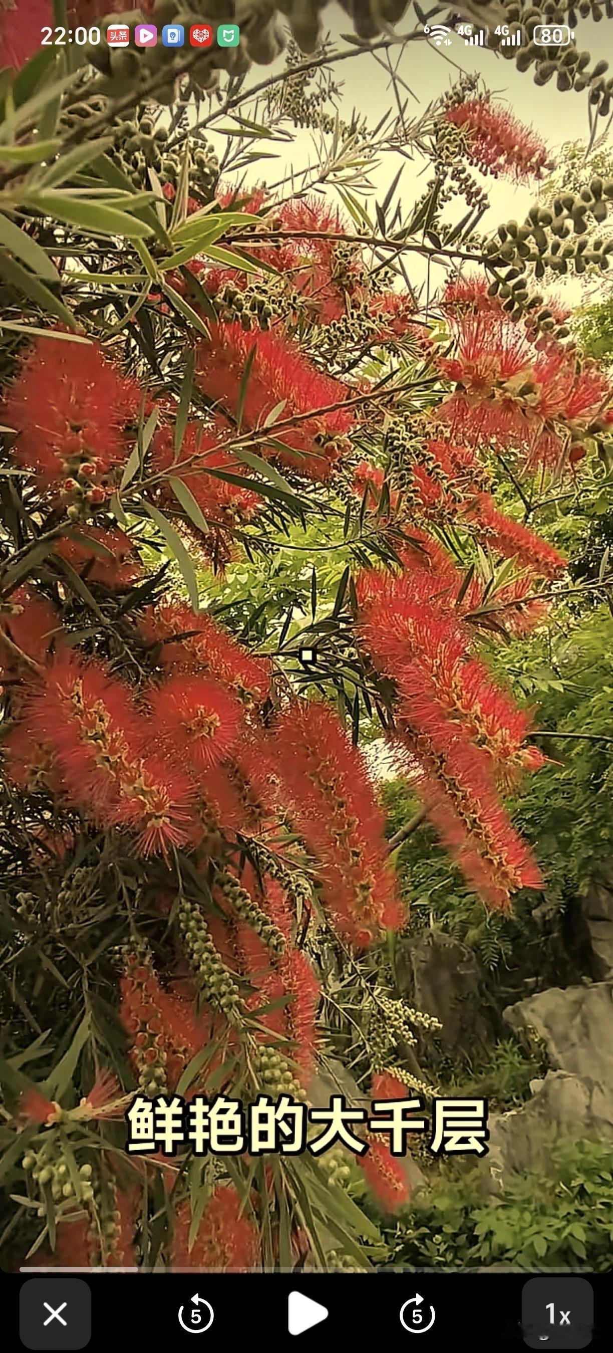 标题：别光吃瓜，看懂这波热搜背后的“潜规则”
热点换了一拨又一拨，但底层逻辑从未