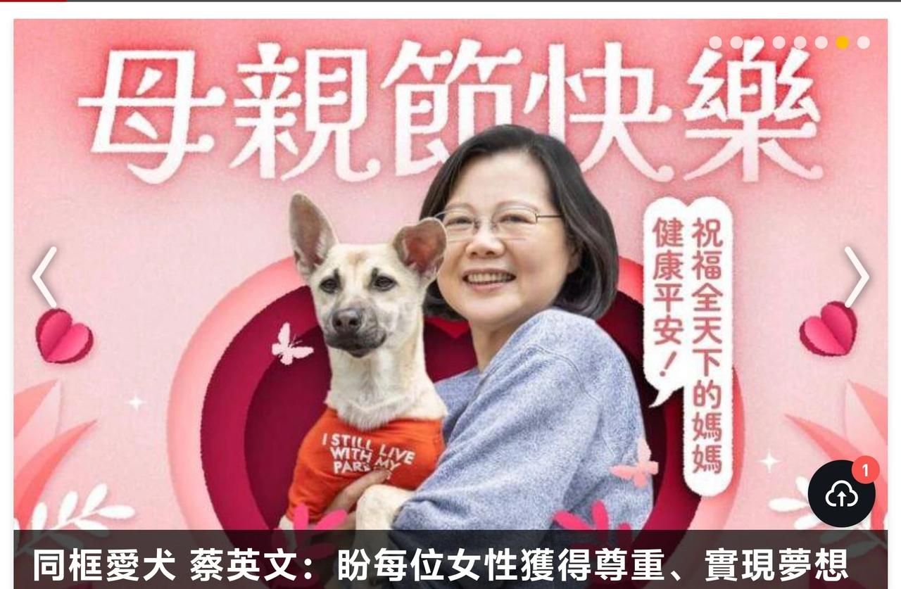 台湾地区领导人蔡英文母亲节晒图，各位网友，这张图片有点意思，是不是可以自由解读一