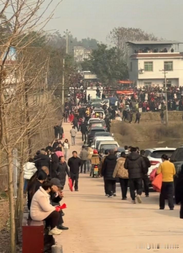 刨猪宴流量井喷，泼天富贵给到了合川。
呆呆带火了一个村，也带火了合川文旅，重庆官