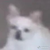 #一文带你读懂带状疱疹#终于系统的学到了带状疱疹的前因后果了，如果有类似的症状一