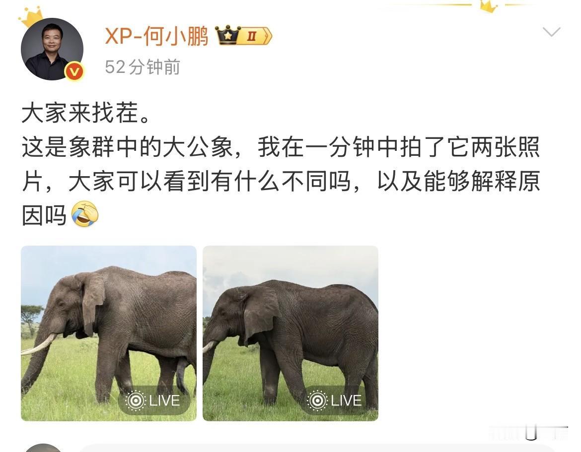 何小鹏让大家来找茬[捂脸]

这段时间，何小鹏的社交网络风格突然变了 ，以前他的