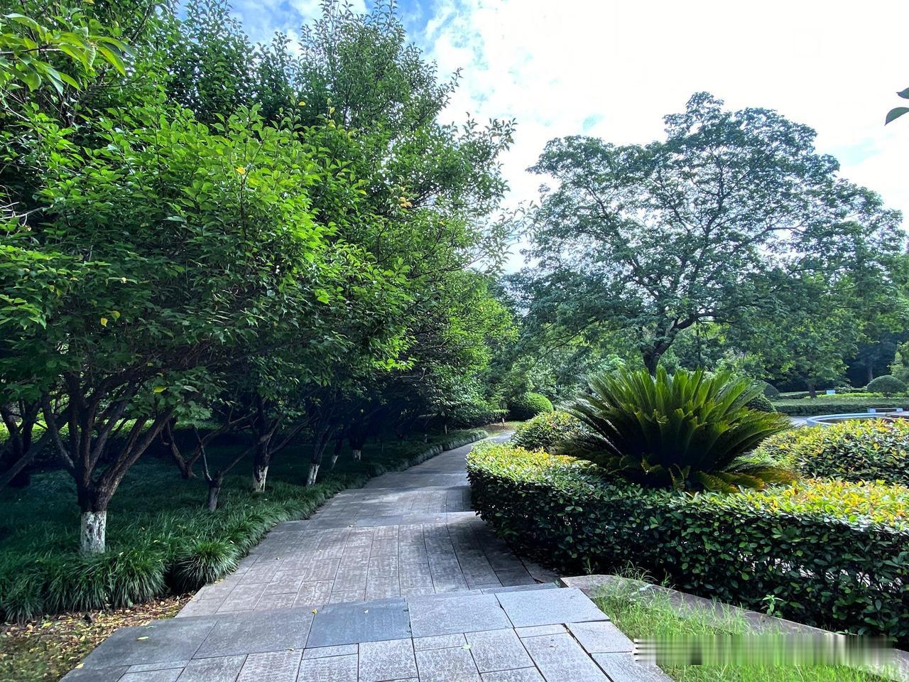 夏日生活打卡季这是一个废弃的儿童乐园，几年前，这里有小卖部，儿童玩的大飞船、小火