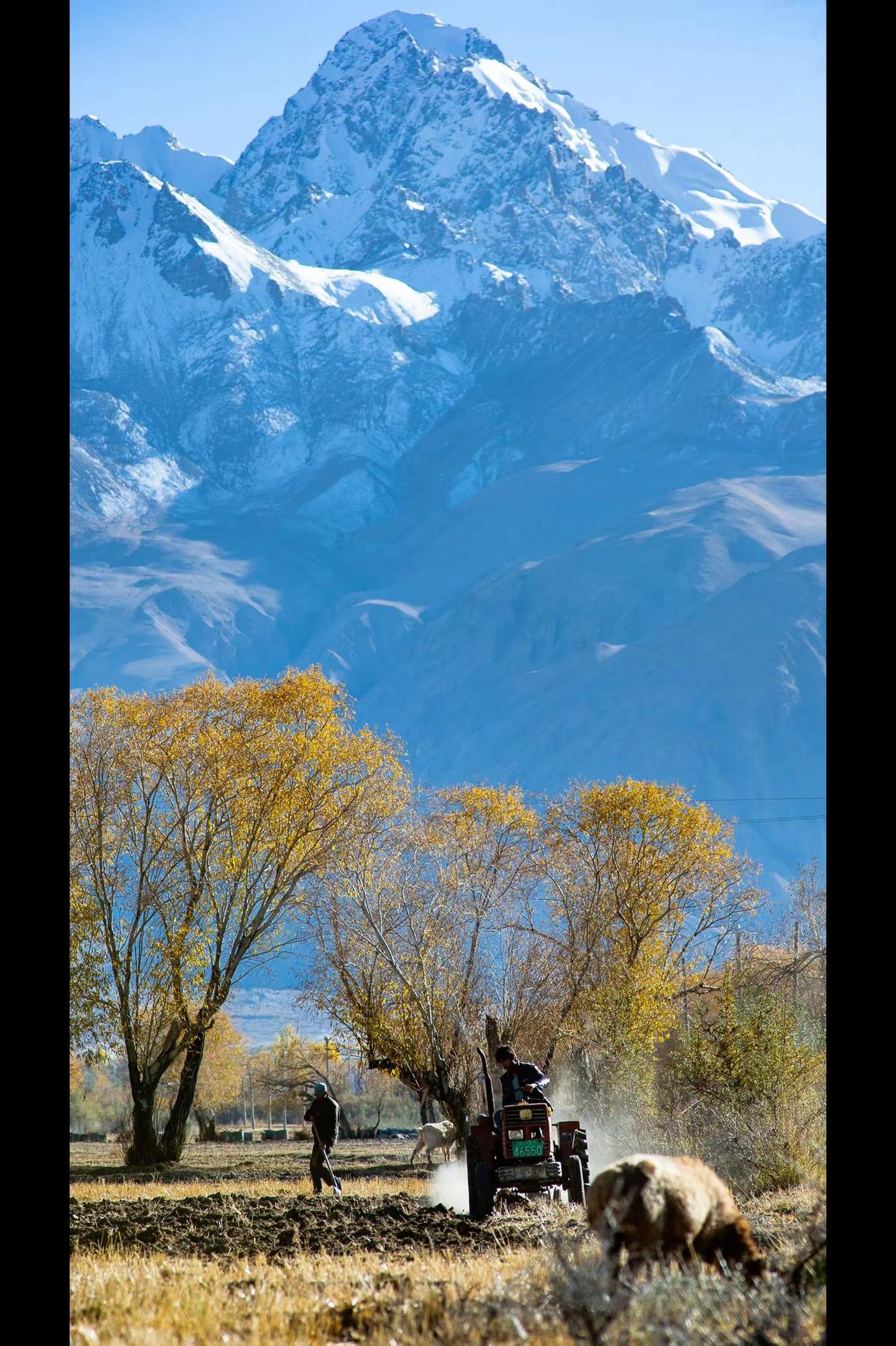 人已经回家，我把心丢在了帕米尔的秋天里。旅行摄影 雪山